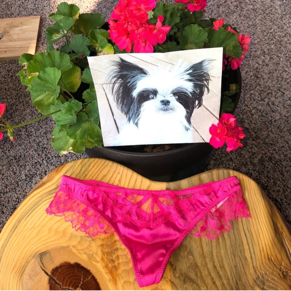 Victoria's Secret Fuchsia Lace Satin Panties